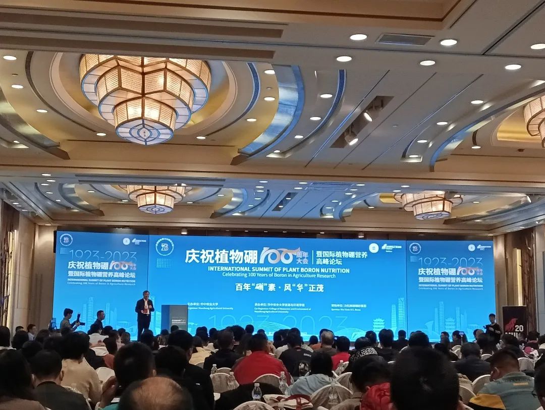 新得利·(中国)有限公司官网