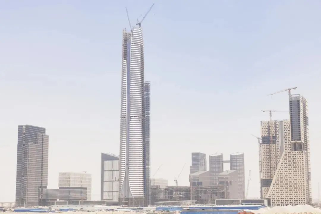新得利·(中国)有限公司官网